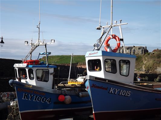 Local Fishing Boats